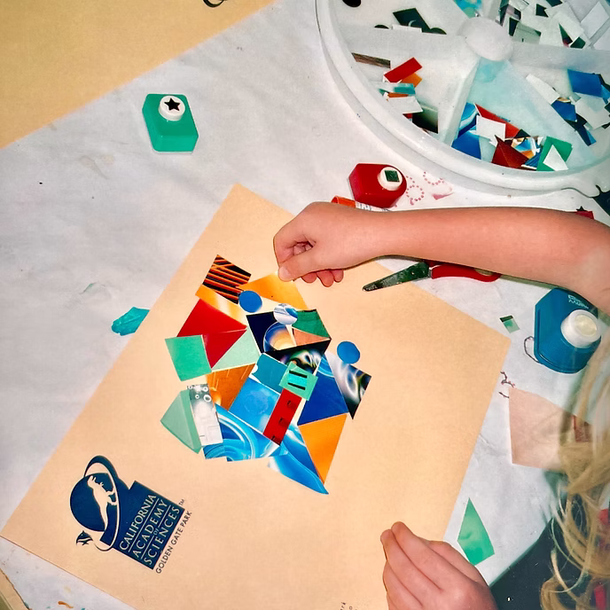 The Hidden Curriculum